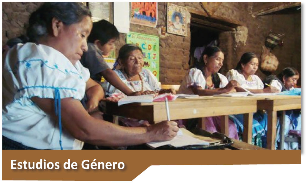 Banner Estudios de Genero