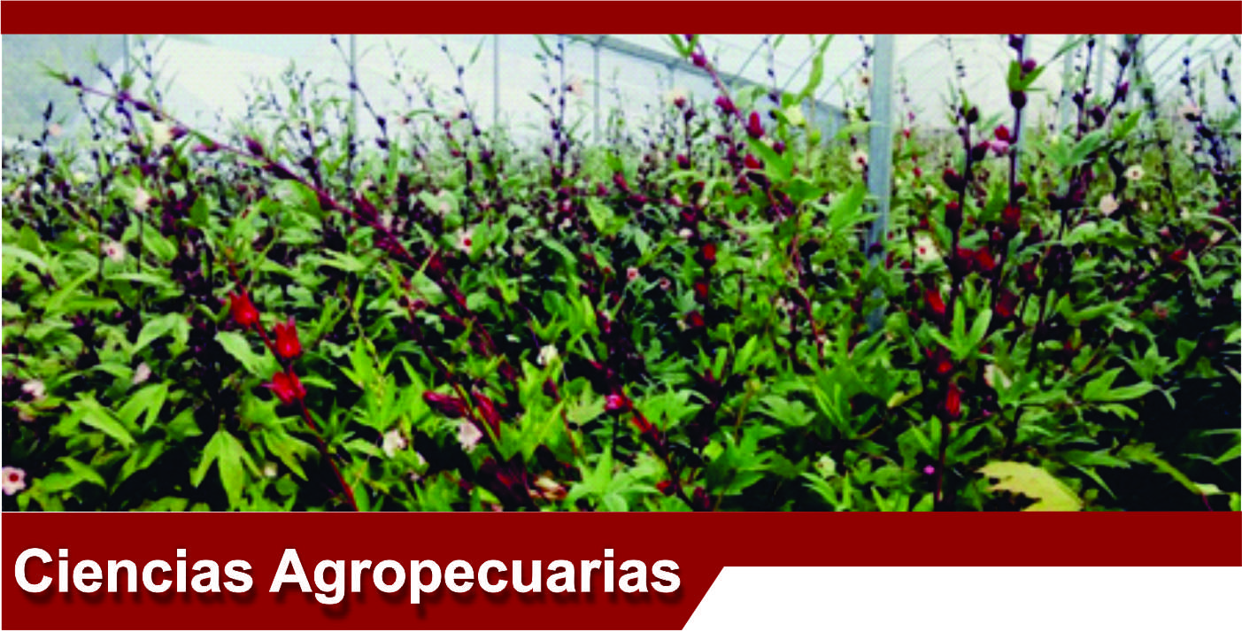 Principal LI Ciencias Agropecuarias