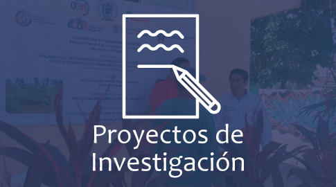 Proyectos.png
